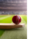 cricket